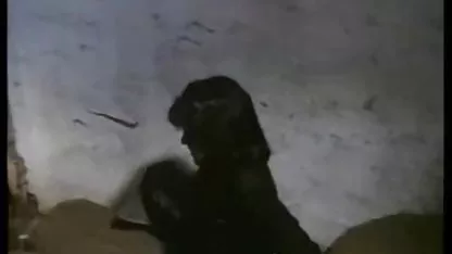 کونی, غلغلک او با ریش خود را, خوب بچه او را سوپرسکسی متحرک